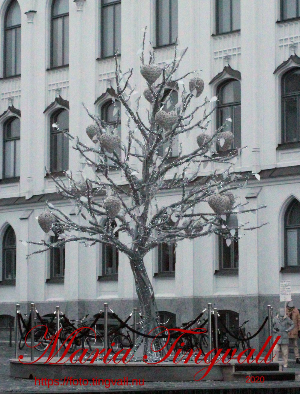 Trevlig Alla hjärtans dag!