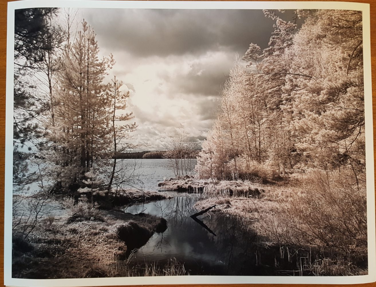 Idag kom fler utskrifter